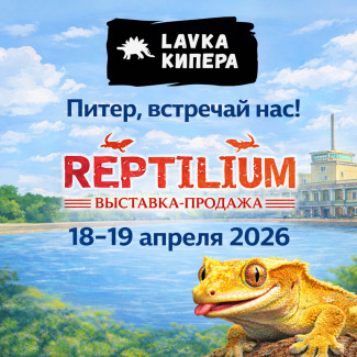 Lavka Кипера на Рептилиум Санкт-Петербург 18–19 апреля 2026
