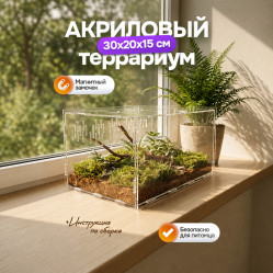 Акриловый террариум для растений, насекомых 30х20х15 см