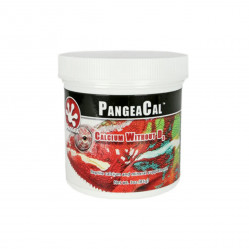 PangeaCal Calcium without D3, 85г PangeaCal Calcium without D3, 85г