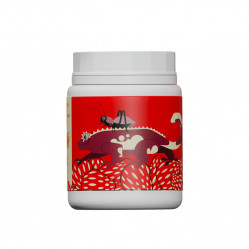 KG Lab Strawberry and Crickets gecko diet. Полнорационная кормовая смесь для рептилий со вкусом клубники и сверчками, 100 г