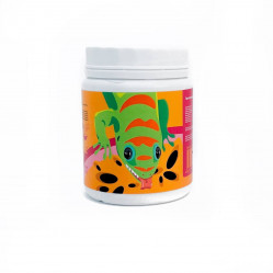 KG Lab Passion fruit and Insects gecko diet. Корм для рептилий со вкусом маракуйи, 100 г, 1 кг