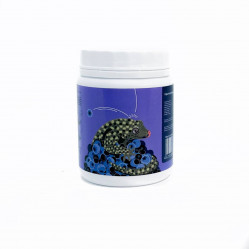 Kate’s Geckos Lab Blueberry gecko diet корм для рептилий черника-голубика, 100 гр