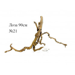 Коряга 90-110 см виноградной лозы